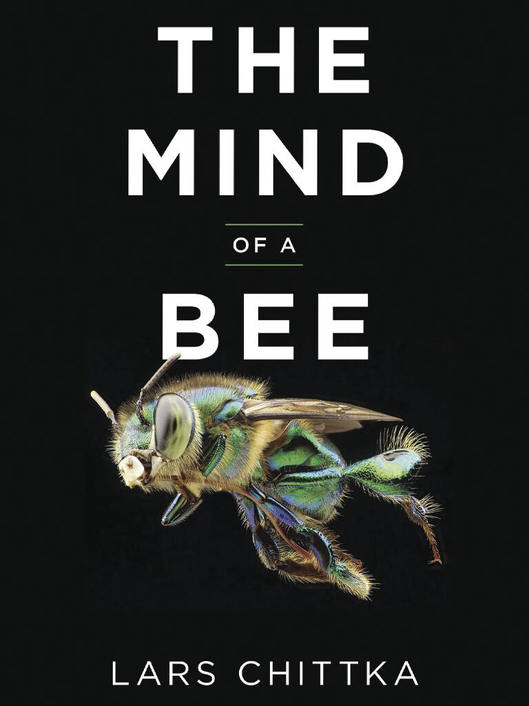 The Mind of a Bee Lars Chittka.jpg